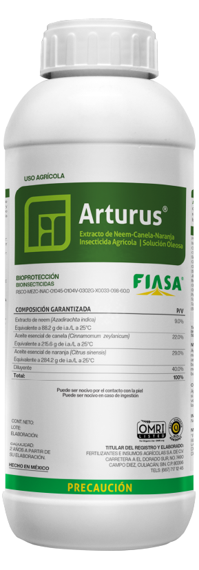 Arturus