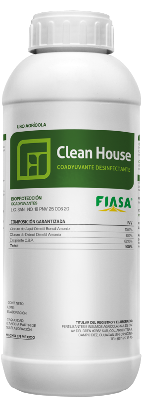 Clean House