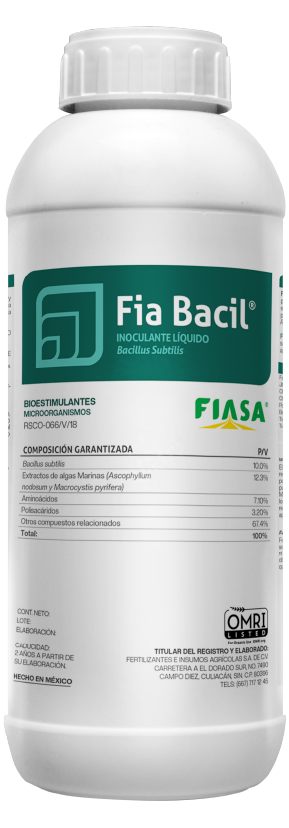 Fia Bacil