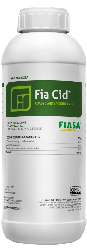 Fia Cid
