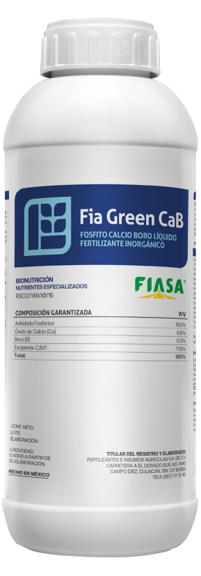 Fia Green CaB