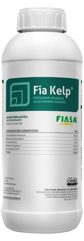 Fia Kelp