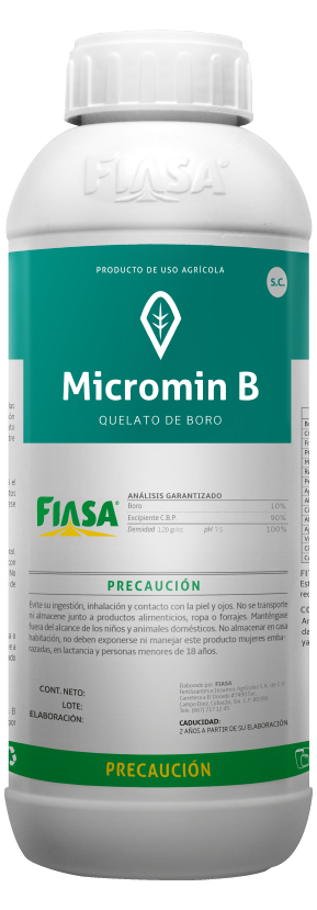 Micromin B