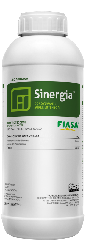 Sinergía