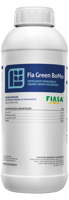 Fia Green BoMo