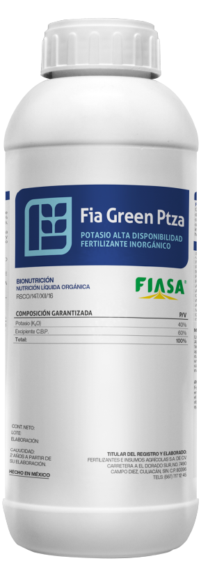 Fia Green Ptza